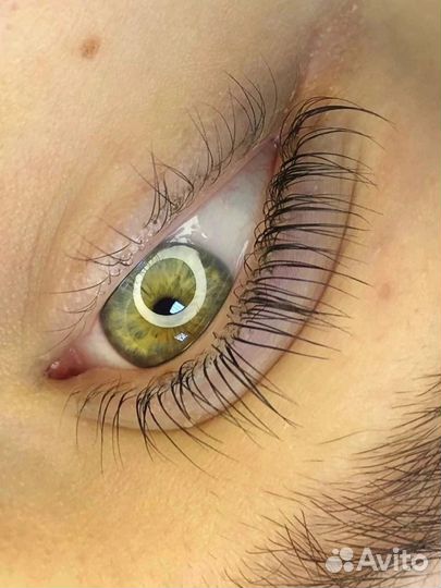 Оформление бровей