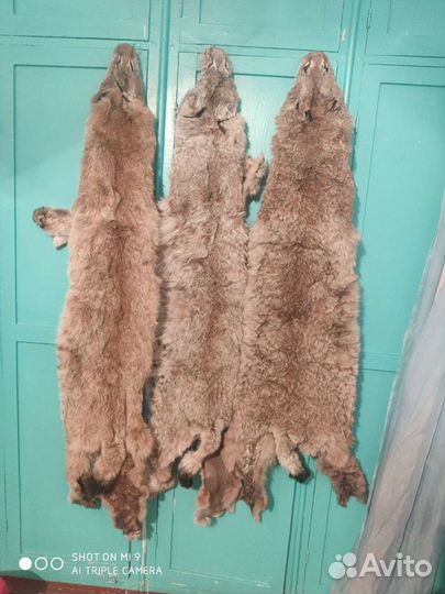 Шкурки соболя и др