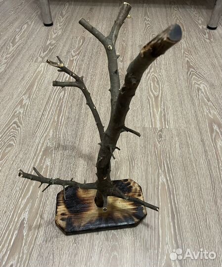 Ветка для попугая