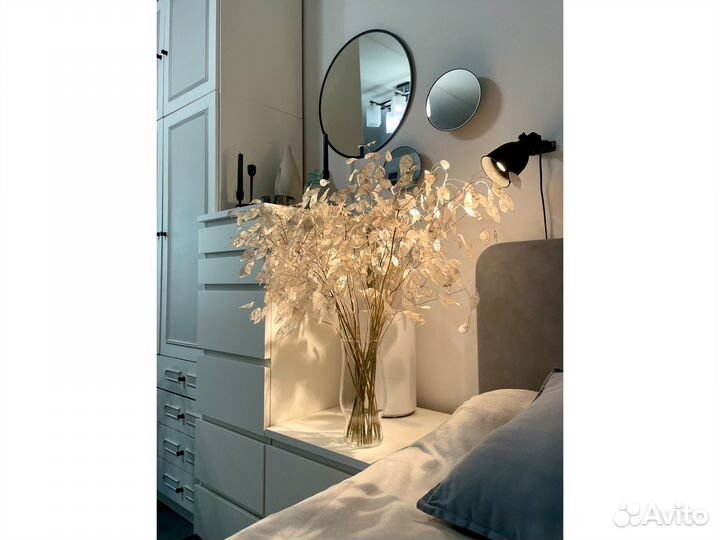 Лунария букет сухоцвет