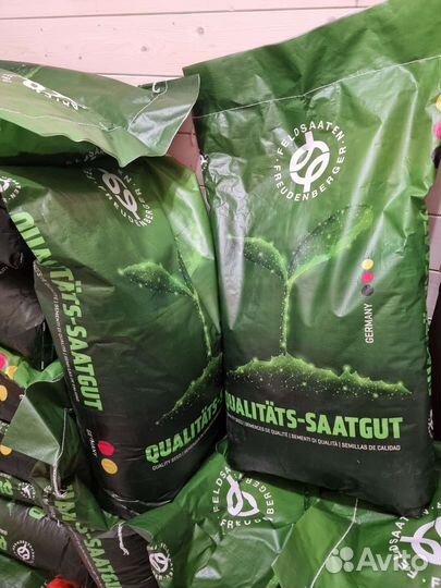 Мятлик луговой Балин многолетний Германия