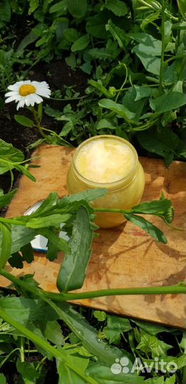 Мед цветочный целебный натуральный