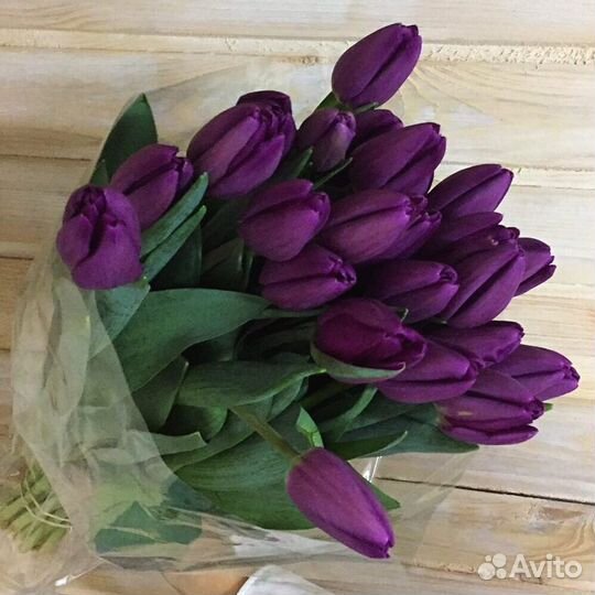 Букет из фиолетовых сортовых тюльпанов 41 шт