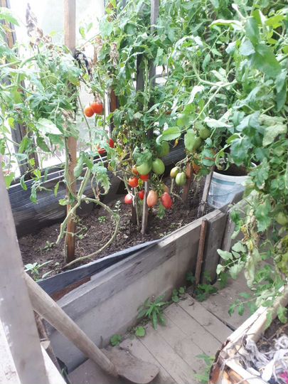 Дом 25 м² на участке 8 сот.