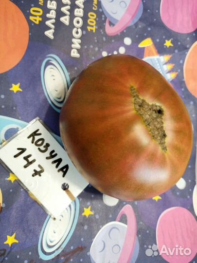 Семена сортовых томатов