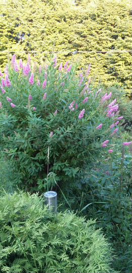 Дача 20 м² на участке 6 сот.