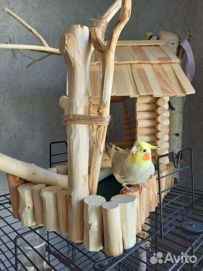 Домик для попугаев
