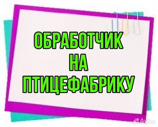 Обработчик на птицефабрику(подработка)