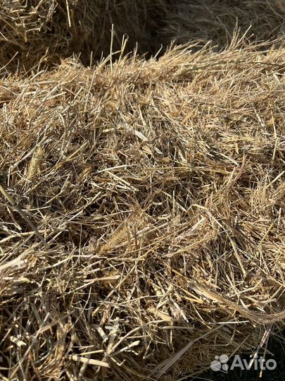 Солома из проса