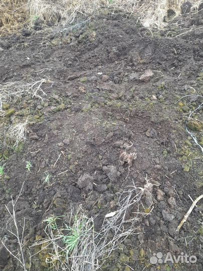 Перегной чернозем навоз