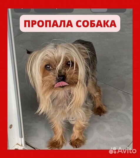 За вознаграждение