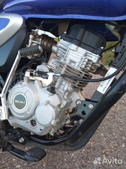 Bajaj Boxer BM 150 X Disk