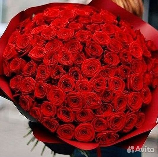 Высокие розы Гигантские розы Доставка цветов