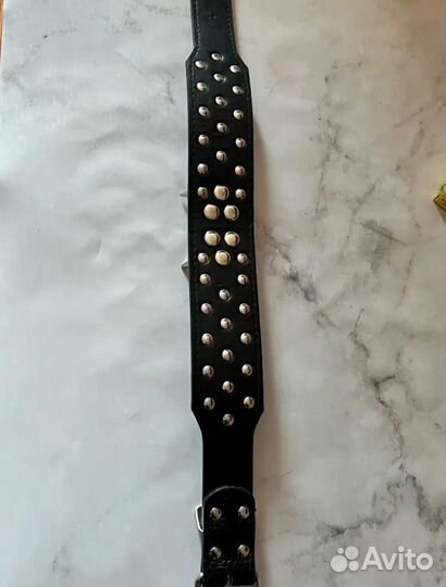 Ошейник для собак с шипами