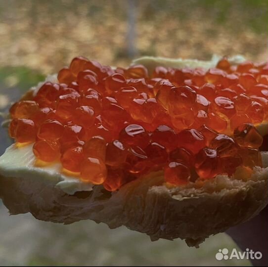 Красная икра горбуши премиум