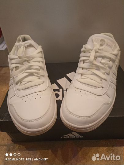 Кроссовки Adidas Hoops(оригинал)