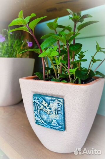 Пряные травы