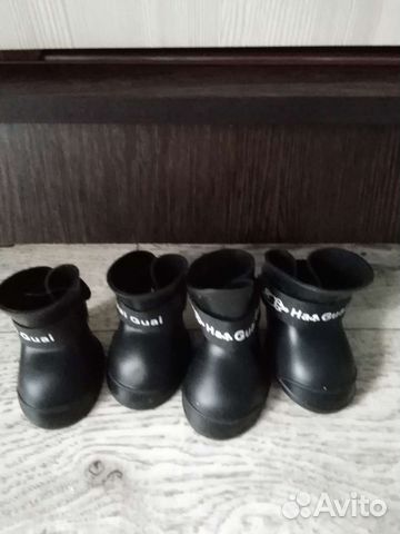 Обувь для собак