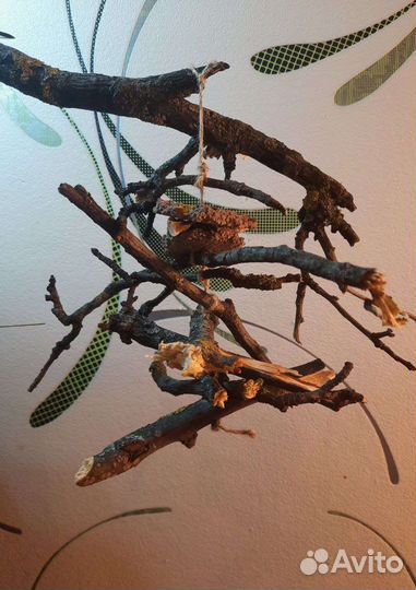 Игрушки для птиц из глины, веток