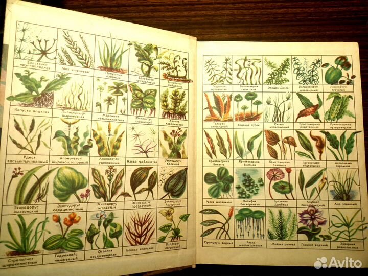 Книга по аквариумистике