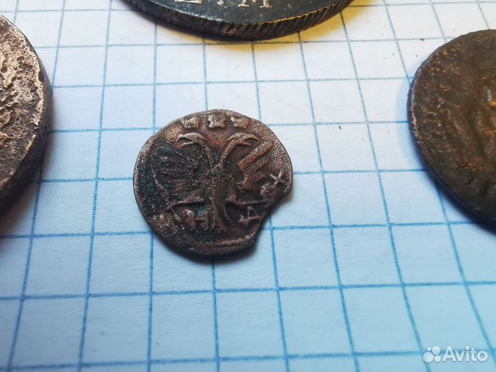 Полушка 1719 год Пётр 1