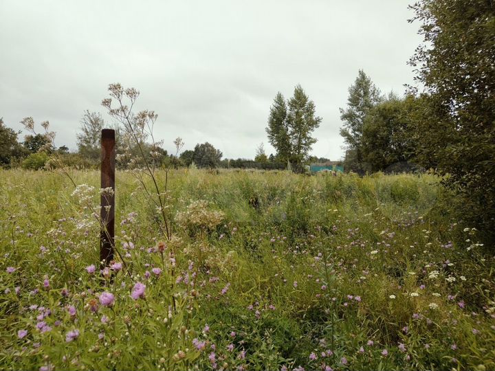 Участок 11,7 сот. (ИЖС)