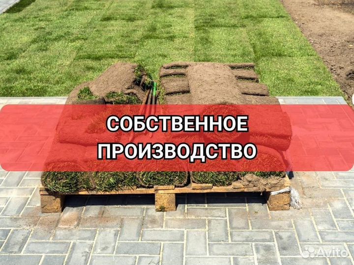Рулонный газон от производителя стандарт