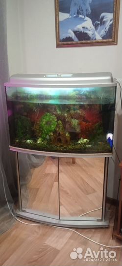 Аквариум с тумбой 100 литров