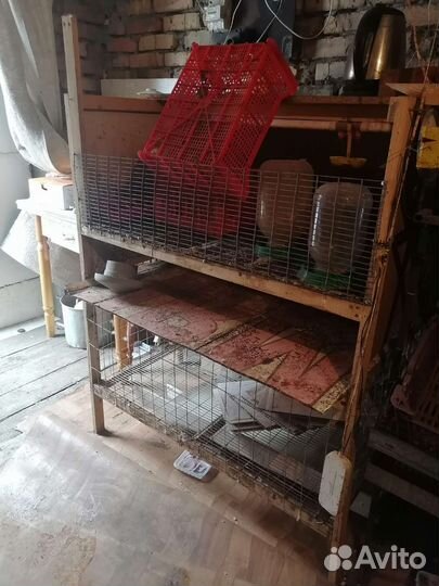 Клетки для кур и перепелов