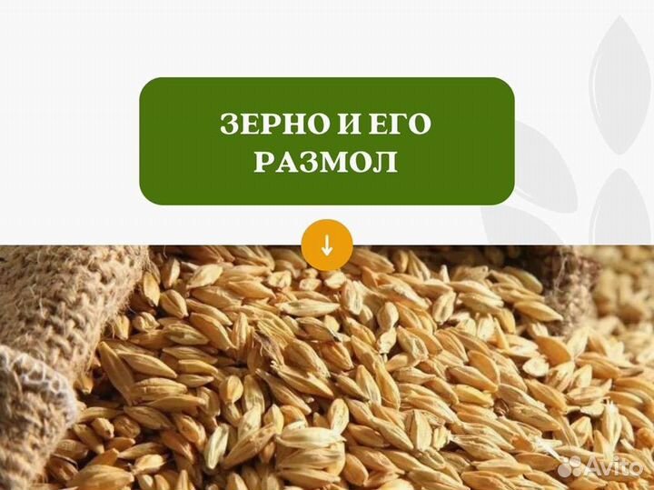 Пшеница Размол (кг)