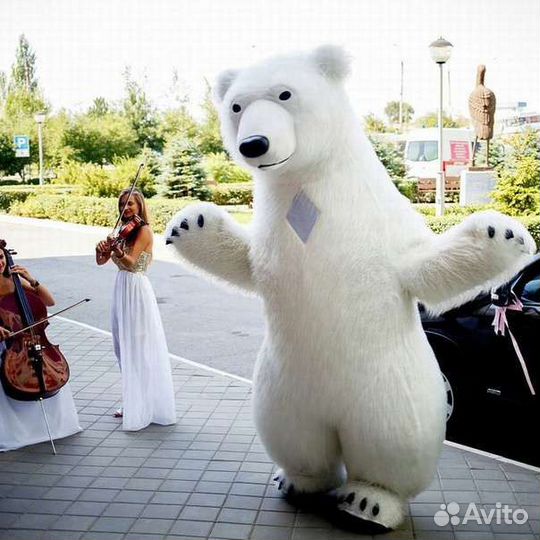 Аниматоры, Белый мишка, Чебурашка