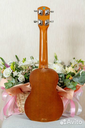 Укулеле caraya uk13bn