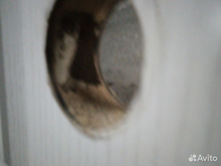 Дверь межкомнатная 800 х 2000 белая