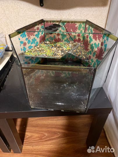 Оквариум для чарепах