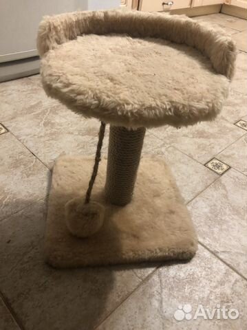 Когтеточка