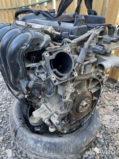 Двигатель Форд Фокус 2 л. бензин 145 сил