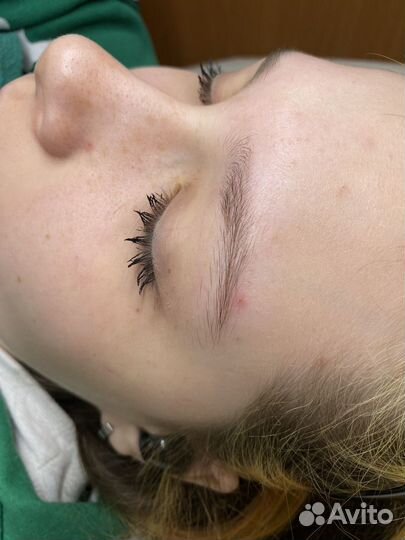 Мастер бровист