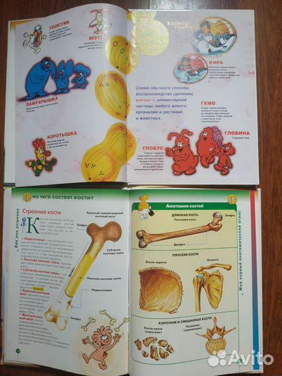 Детские книги.Книги для детей.Анатомия для детей