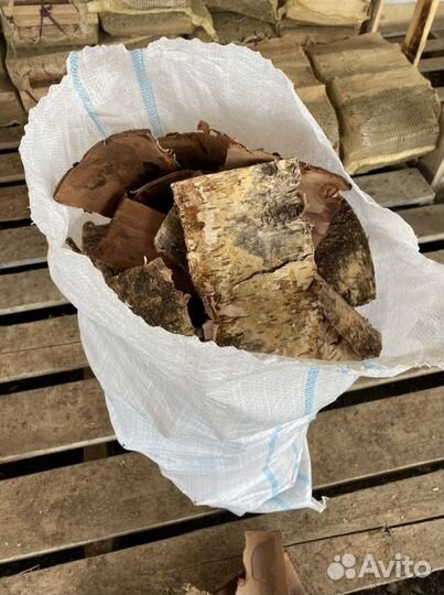 Кора березы