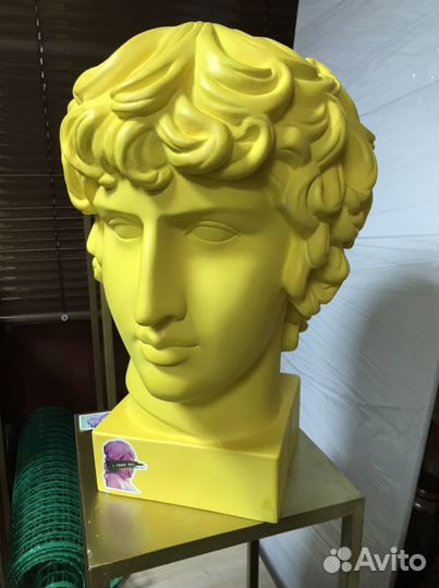 Гипсовые головы