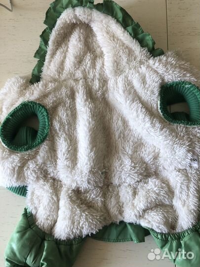 Одежда для собак мелких пород