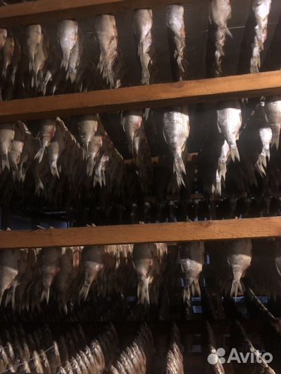 Рыба / от производитель