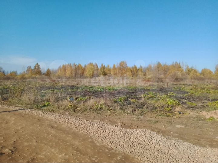 Участок 10 сот. (ИЖС)