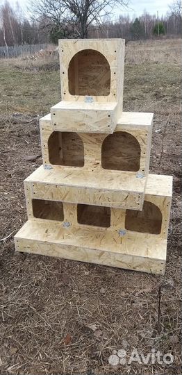 Гнездо для кур с яйцесборником