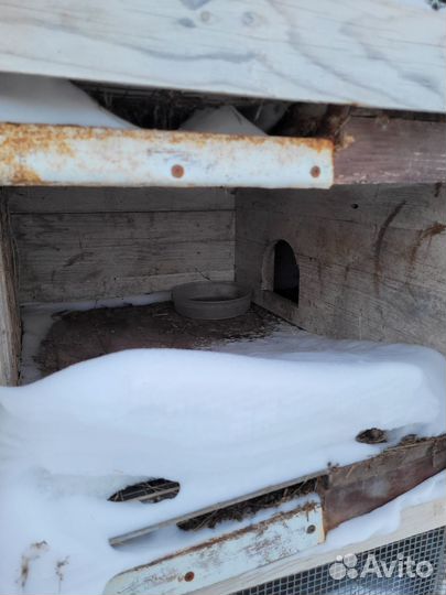 Клетка для кроликов с маточником