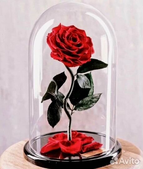 Роза в колбе