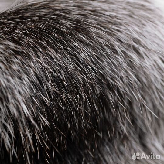 Шкурки нутрии