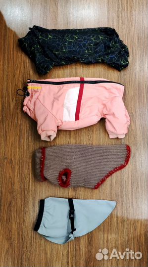 Амуниция и одежда для собак