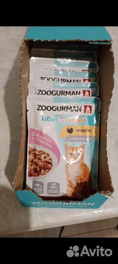 Влажный корм для котят