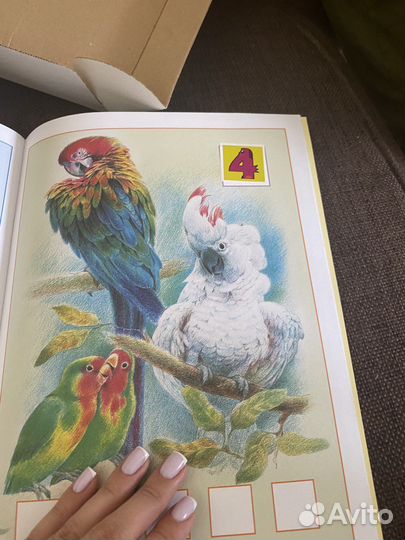 Школа 7 гномов 3